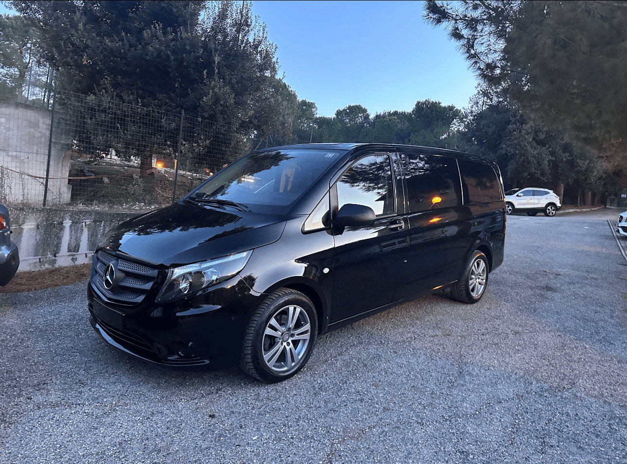 MINIVAN 8 POSTI